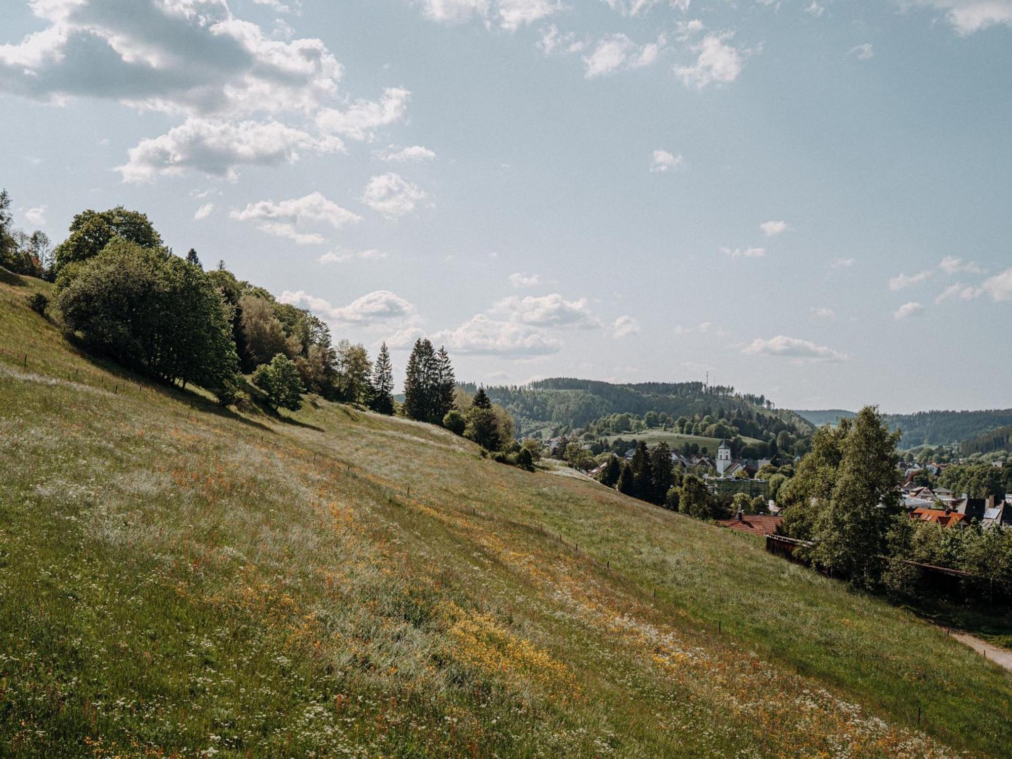 Ferienwohnung Waelderliebe Lenzkirch Buitenkant foto